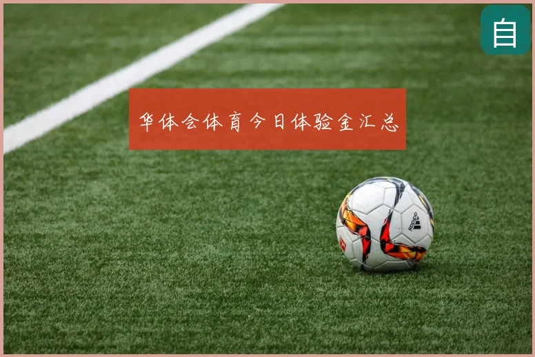 华体会体育今日体验金汇总